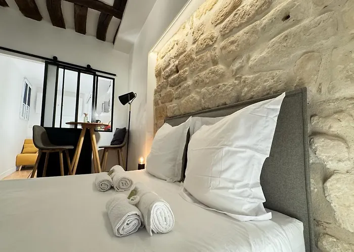 Charming Heart Of Historic Le Marais Appartement Parijs