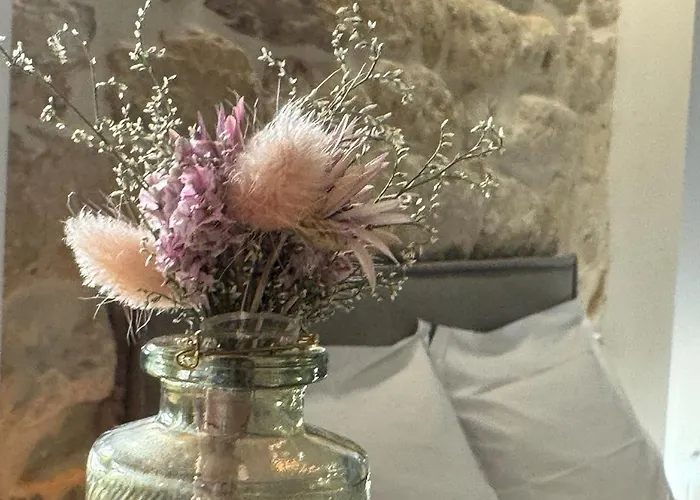 Charming Heart Of Historic Le Marais Appartement *