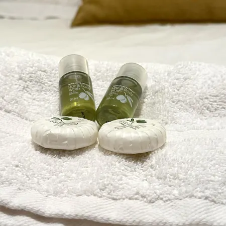 Charming Heart Of Historic Le Marais Paris